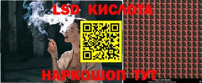 прущие грибы Белорецк