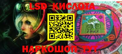 дмт Бердск