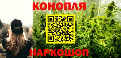 дмт Бердск