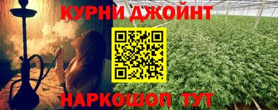 дмт Бердск