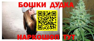 дмт Бердск