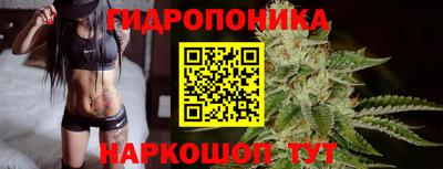 дмт Бердск