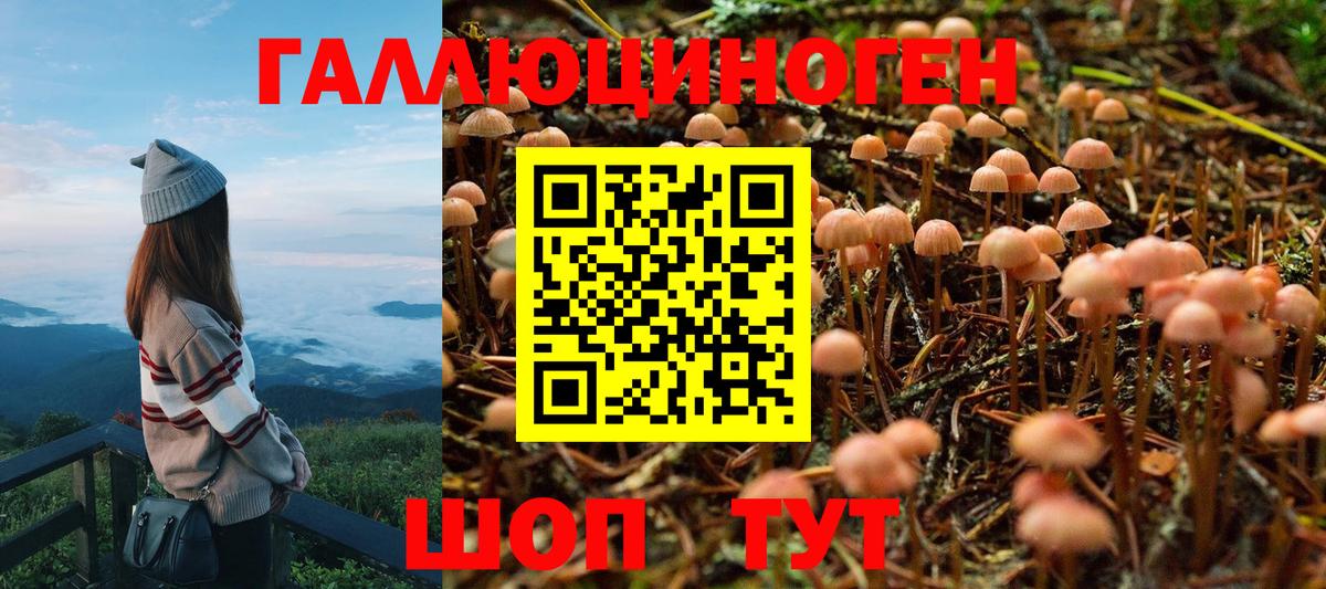 Горно-Алтайск  Псилоцибиновые грибы Magic Shrooms  Вход с VPN 